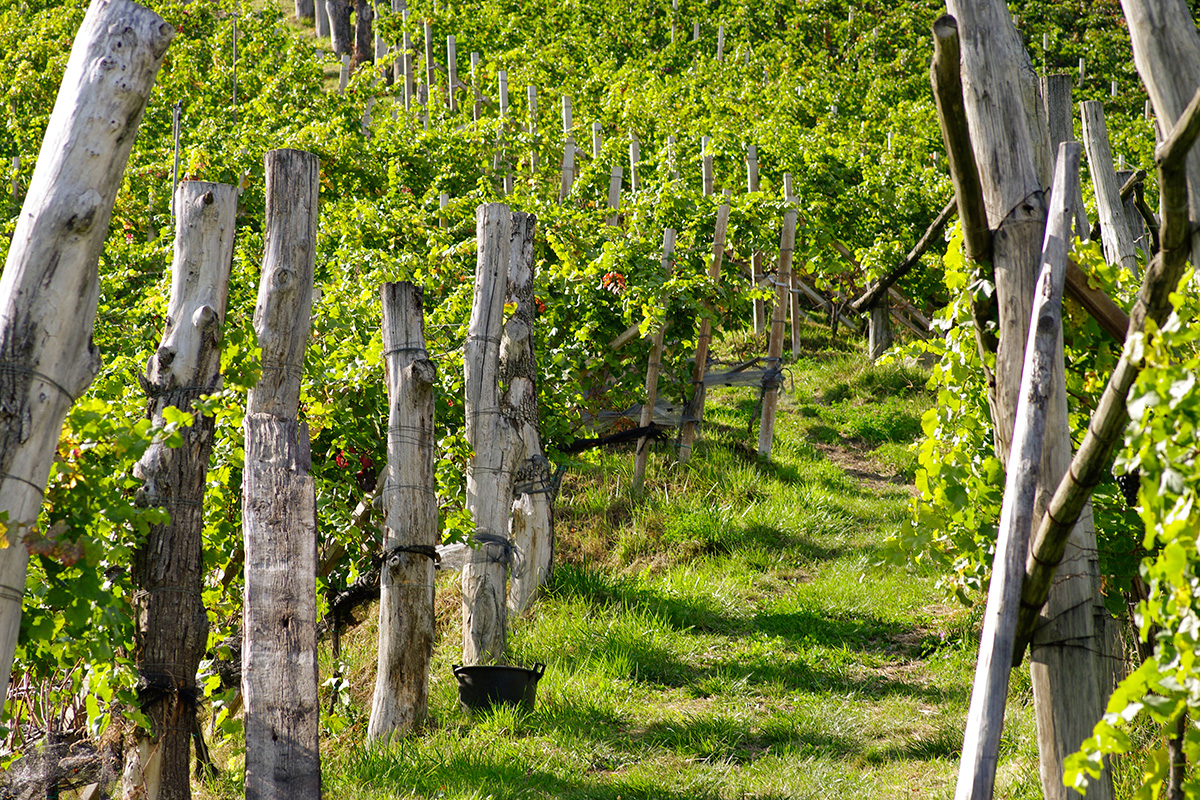 Tenuta osteria Haidenhof